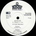 Future Troubles / Little Hero : Kung Fu / God Alone (12")