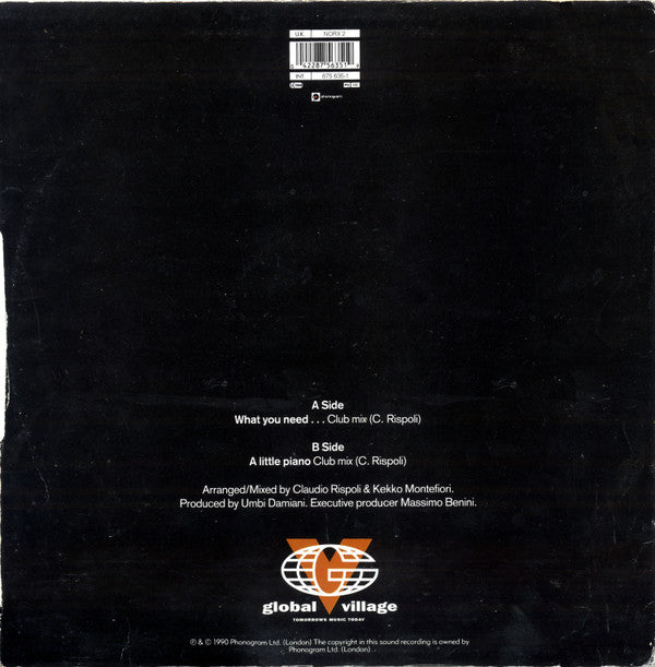 Soft House Company : What You Need... (12")