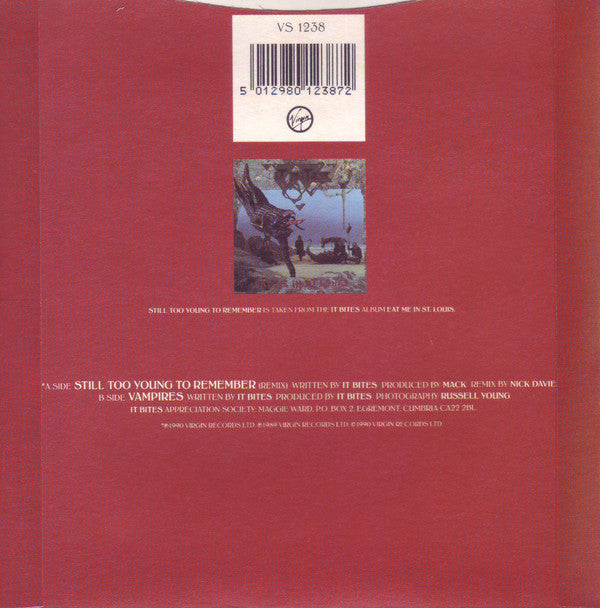 It Bites : Still Too Young To Remember (7", Single)