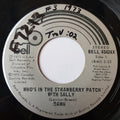 Dawn (5) Featuring Tony Orlando : Who's In The Strawberry Patch With Sally (7", Single)