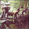 White Rabbits : While We Go Dancing / Take A Walk Around The Table (7", Single)