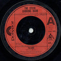 Steve Gibbons Band : Tulane (7", Single)