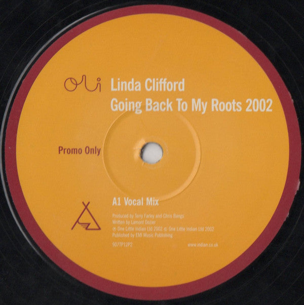 Linda Clifford : Going Back To My Roots 2002 (12", Promo)