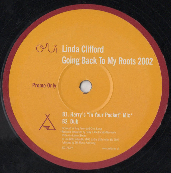 Linda Clifford : Going Back To My Roots 2002 (12", Promo)