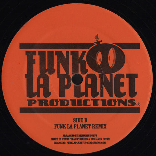 Alex Finkin & Reverend P Feat. Chynna Blue : If You Find Your Way (12", Promo)
