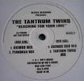 The Tantrum Twins : Reaching For Your Love (12", Promo)