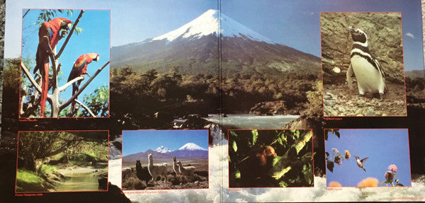 Inti-Illimani*, Guamary : Flight Of The Condor (LP, Comp, Gat)