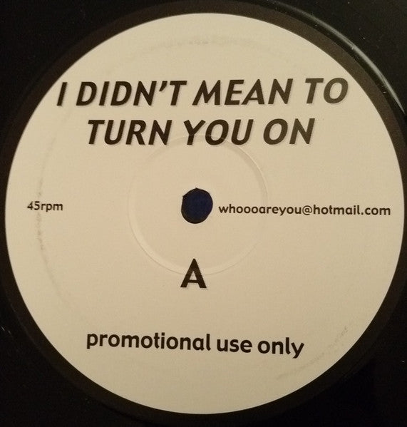 Unknown Artist : I Didn't Mean To Turn You On / Rock Freak (12", Promo, Unofficial)