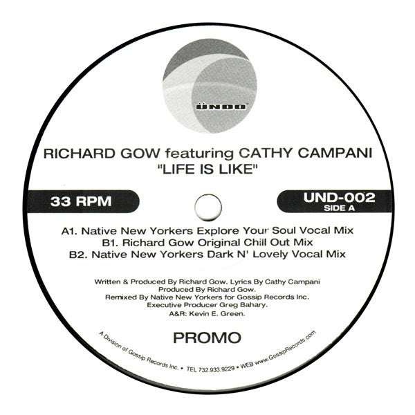 Richard Gow Featuring Cathy Campani : Life Is Like (12", Promo)