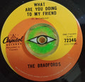 The Bradfords : What Are You Doing To My Friend / Babette (7")