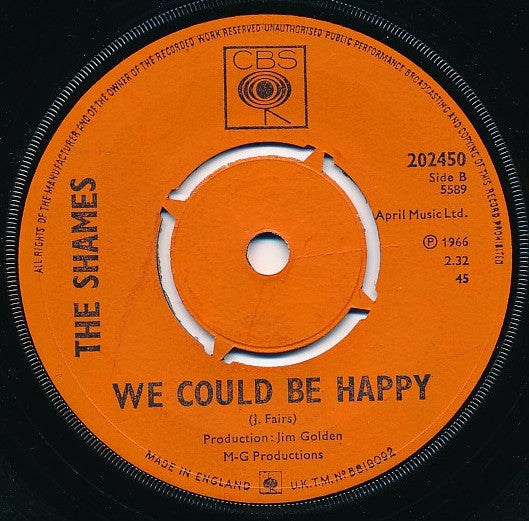The Cryan' Shames : I Wanna Meet You (7")