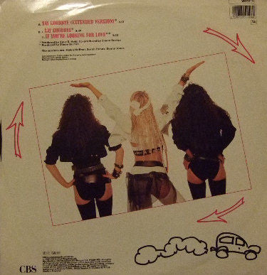 The Marines : Say Goodbye (Extended Version) (12", Single)