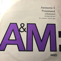 Awesome 3 : Possessed (Obsessed) (12", Promo)