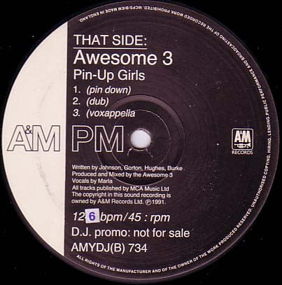 Awesome 3 : Possessed (Obsessed) (12", Promo)
