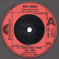 Mike Berry : If I Could Only Make You Care (7", Single)