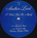 Another Level : I Want You For Myself (12")