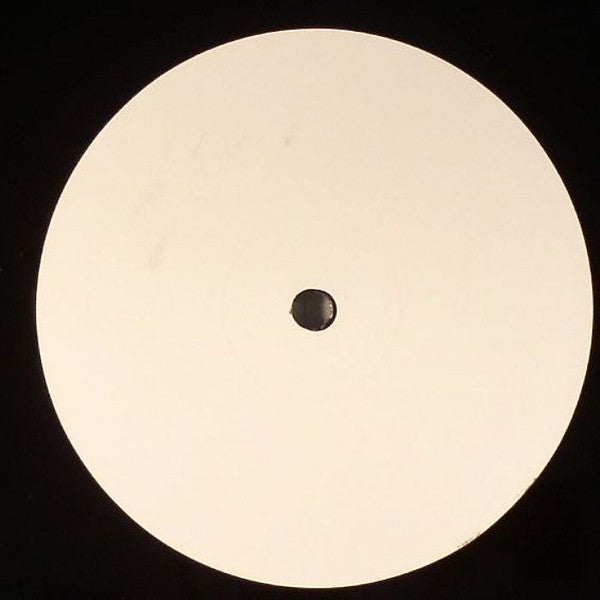 DJ Sted-E & Ray Roc Checo : The Dream (12", S/Sided, W/Lbl)