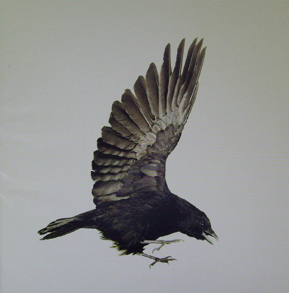 Feeder : Silent Cry (CD, Album, Ltd, Sli)