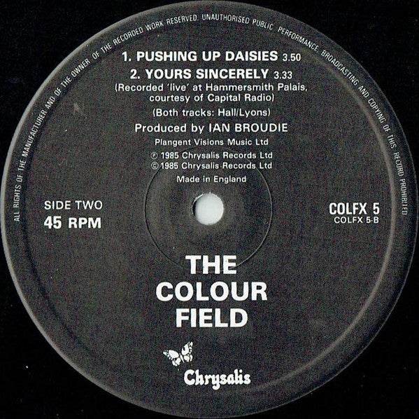 The Colourfield : Things Could Be Beautiful (12", Single)