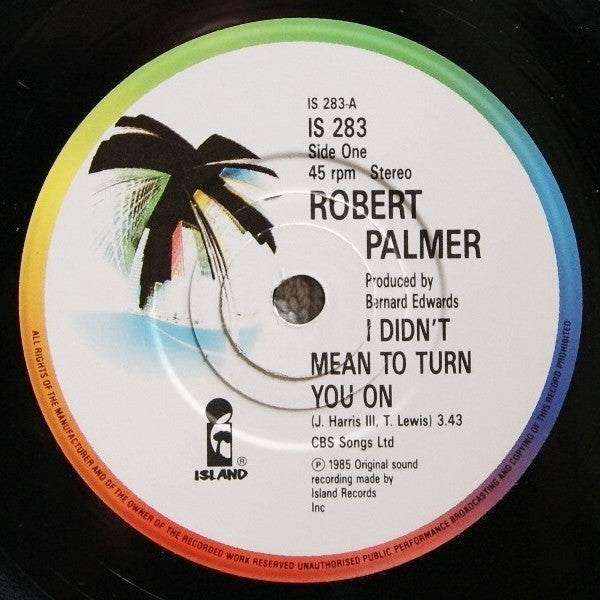 Robert Palmer : I Didn't Mean To Turn You On (7", Single)