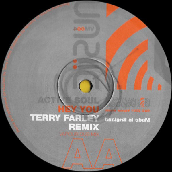 Active Soul : Hey You (Terry Farley Remixes) (12")