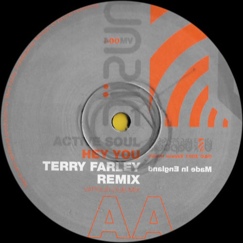 Active Soul : Hey You (Terry Farley Remixes) (12")
