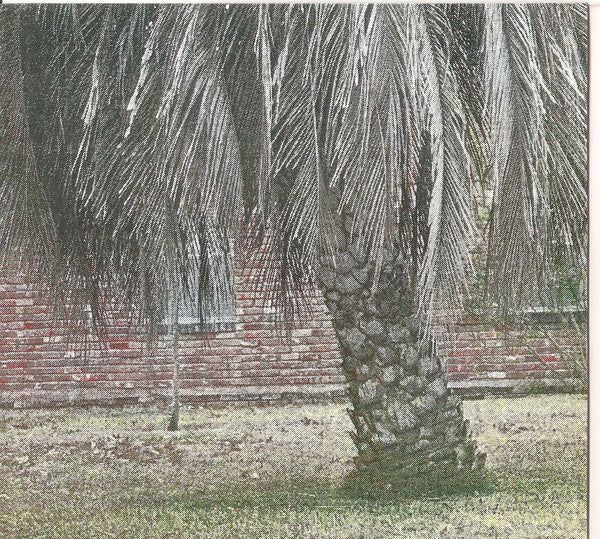 Arcade Fire : The Suburbs (CD, Album)