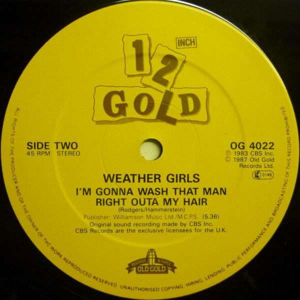 The Weather Girls : It's Raining Men / I'm Gonna Wash That Man Right Outa My Hair (12")