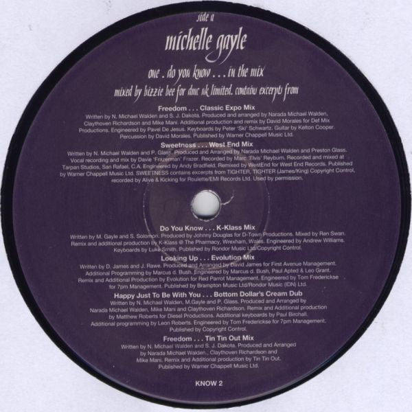 Michelle Gayle : Do You Know (12")