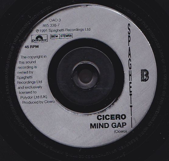 Cicero : Love Is Everywhere (7", Single)
