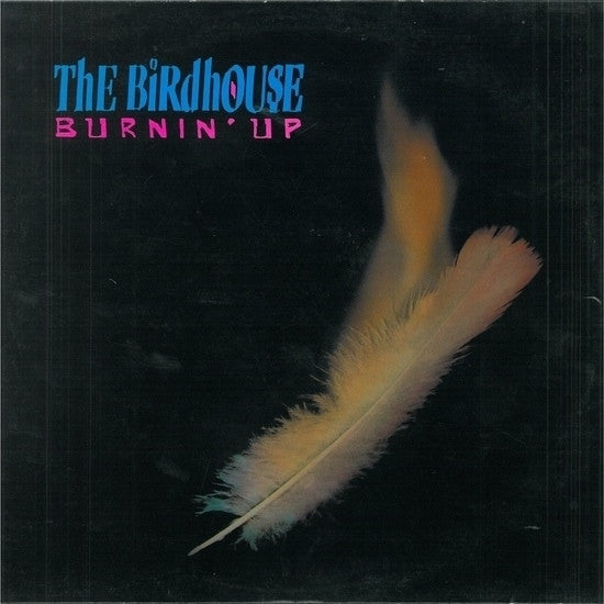 The Birdhouse : Burnin' Up (12", MiniAlbum)