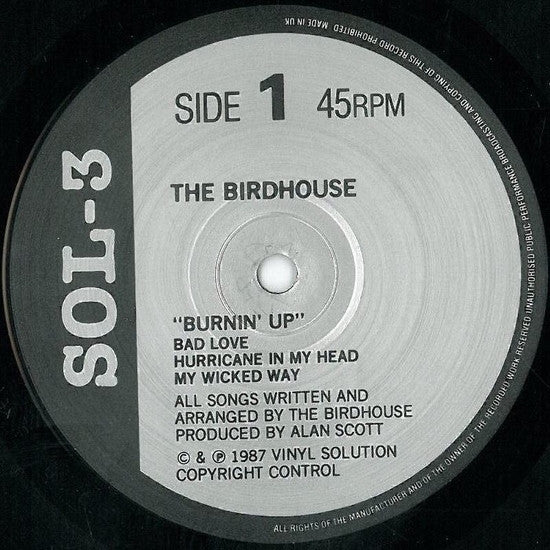 The Birdhouse : Burnin' Up (12", MiniAlbum)