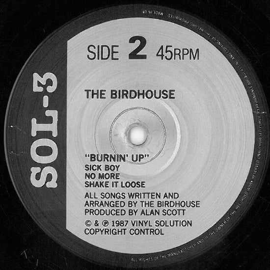 The Birdhouse : Burnin' Up (12", MiniAlbum)