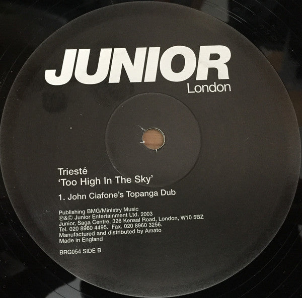 Triesté : Too High In The Sky (12")