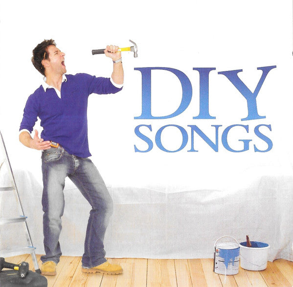Various : DIY Songs (2xCD, Comp)
