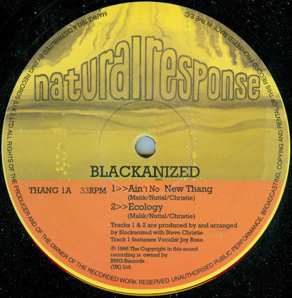 Blacka'nized : Ain't No New Thang (12")