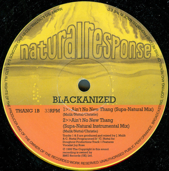 Blacka'nized : Ain't No New Thang (12")