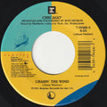 Chicago (2) : Chasin' The Wind (7", Single)