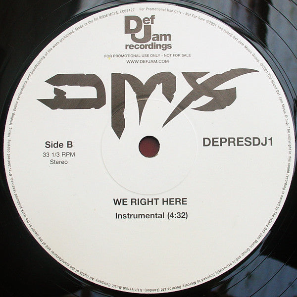 DMX : We Right Here (12", Promo)