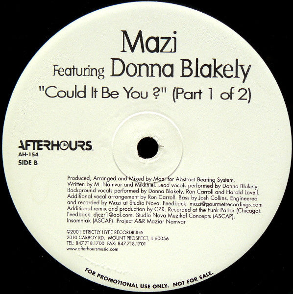 Mazi Namvar Featuring Donna Blakely : Could It Be You? (Part 1 Of 2) (12", Promo)