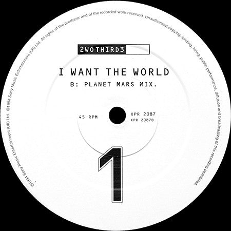 2wo Third3 : I Want The World (2x12", Promo)