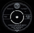 Harry Belafonte And Odetta : There's A Hole In My Bucket / Chickens (7", Single)
