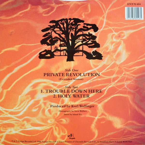 World Party : Private Revolution (12")