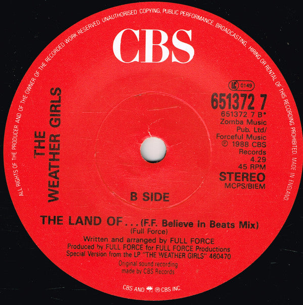 The Weather Girls : The Land Of The Believer (7", Single)