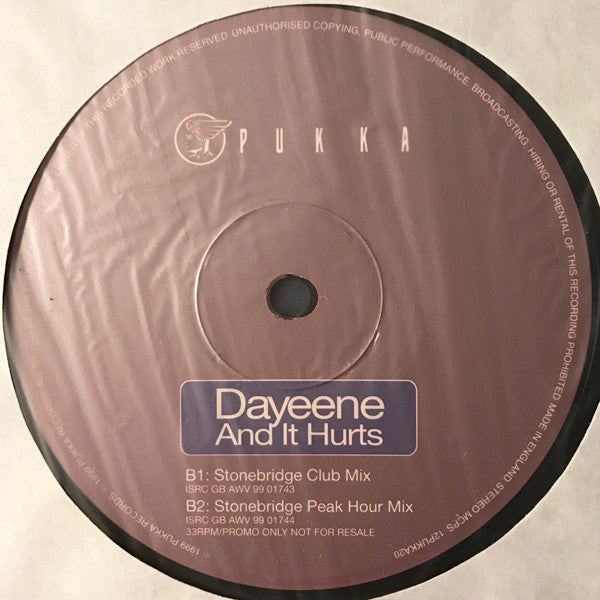 DaYeene : And It Hurts (2x12", Promo)