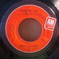Jerry Knight : Perfect Fit (7", Single, Styrene, Pit)