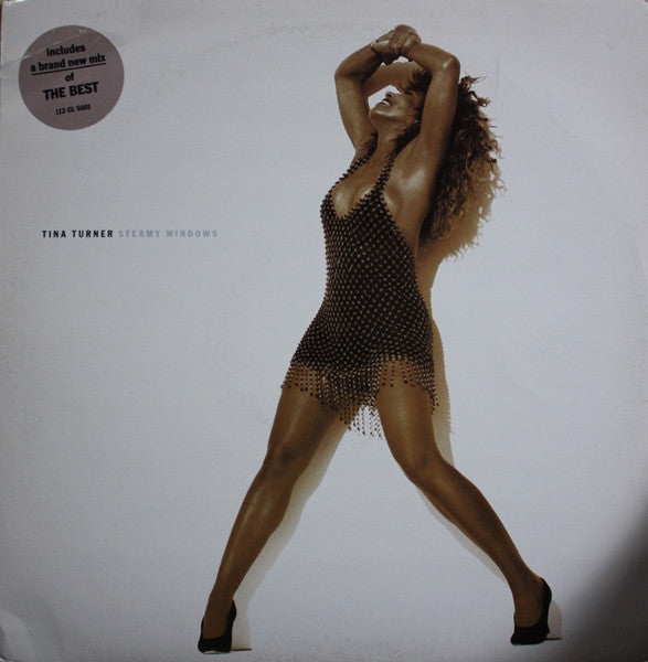Tina Turner : Steamy Windows (12", Single)