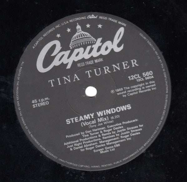 Tina Turner : Steamy Windows (12", Single)