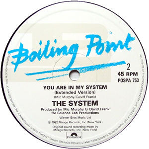 The System : The Pleasure Seekers / You Are In My System (12")