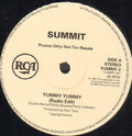 Summit (4) : Yummy Yummy (12", Promo)